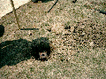 geoje 070.gif